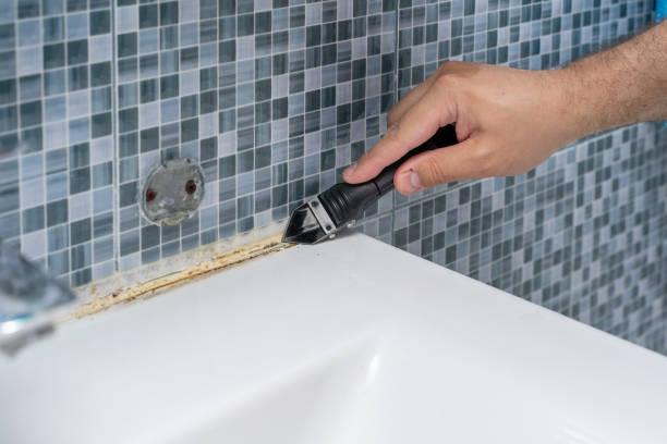 Best Mold Inspection  in Lockney, TX