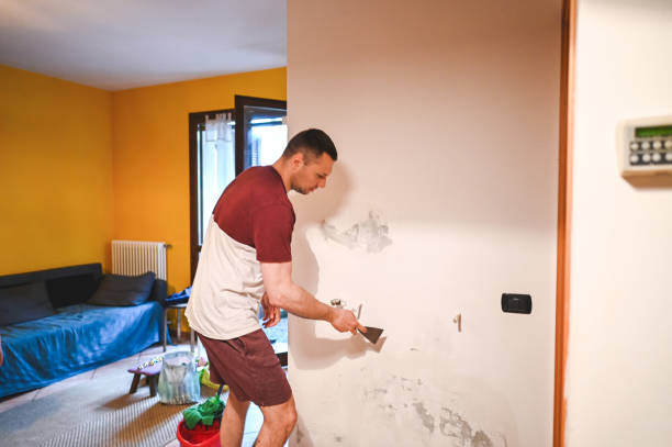 Best Best Mold Removal Companies  in Lockney, TX
