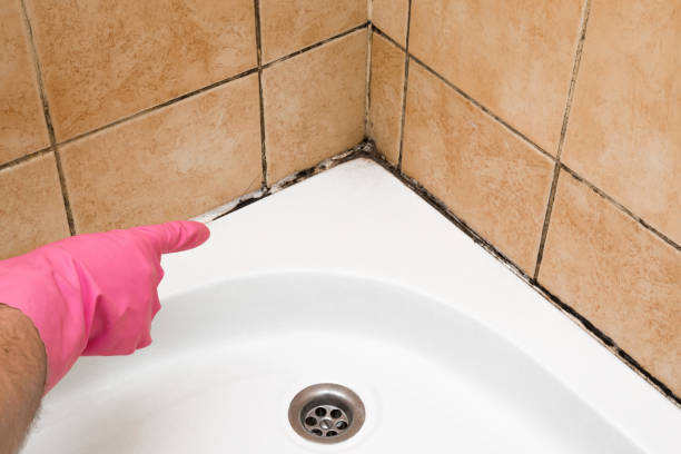 Best Mold Testing  in Lockney, TX